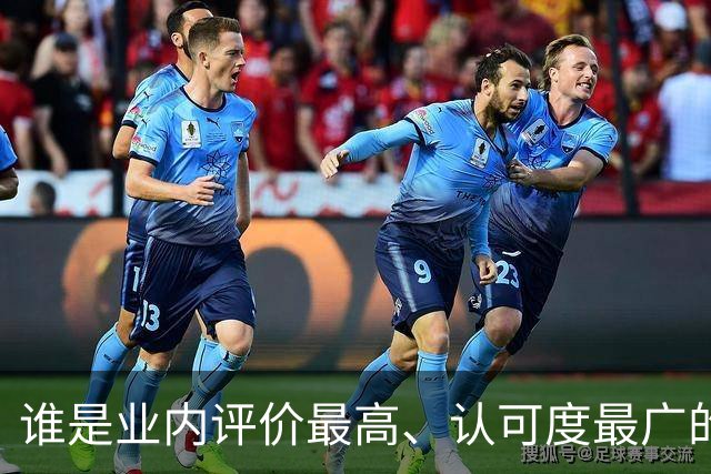 谁是业内评价最高、认可度最广的网球解说员？