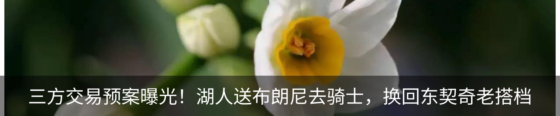 资讯动态