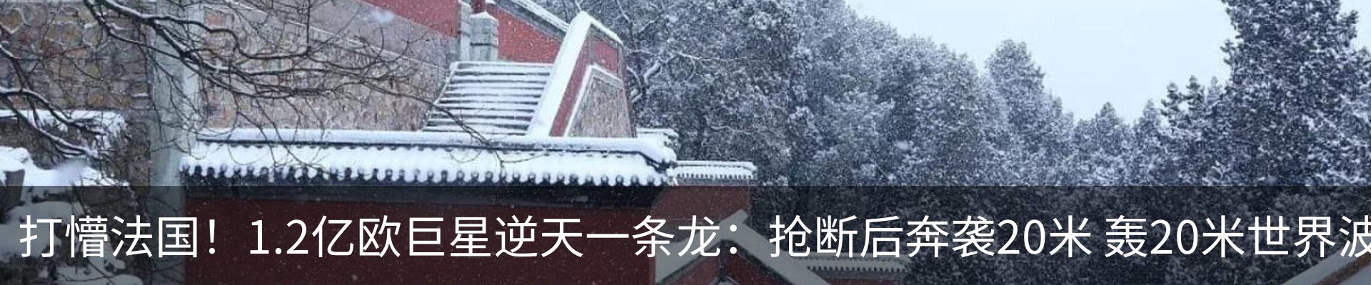 资讯动态