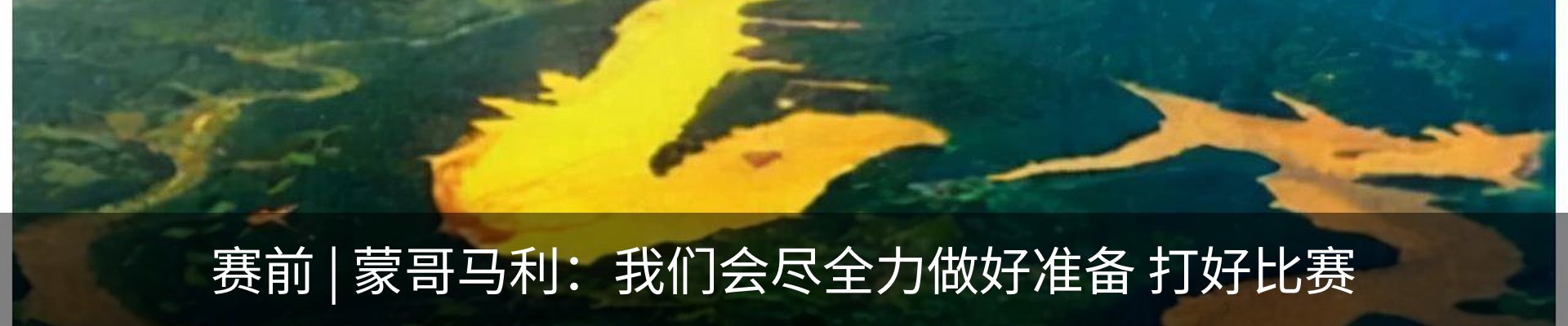 资讯动态